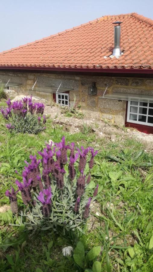 Casa do Rancho - Turismo Rural Paranhos (Amares) Exterior foto